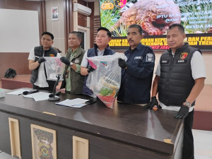 Jual Sisik Tringiiling, Dua Warga Sungai Bahar Terancam 15 Tahun Penjara