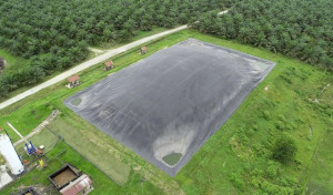 Dua PLTBg Ini Jadi Andalan PalmCo Tekan Biaya Energi di Tengah Gejolak Global