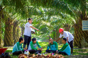 PalmCo Serap 70 Ribu Tenaga Kerja Bidik Peluang Baru dari Hirilisasi Sawit 