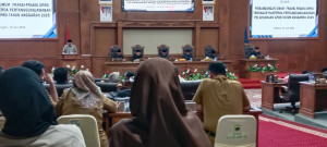 PAN Apresiasi Kinerja APBD 2025, Namun Ingatkan Pemkab Jangan Cepat Berpuas Diri