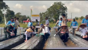 Dukung Ketahanan Pangan Nasional, Polda Jambi Laksanakan Penanaman Bawang Putih di Kayu Aro