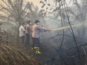 Sinergi TNI-Polri dan Stakeholder, Karhutla di Areal Plasma PT BKS Sarolangun Berhasil Dipadamkan