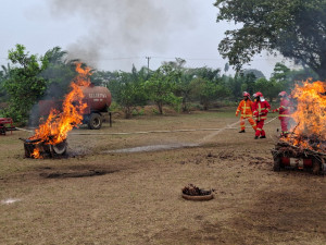 Siaga Hadapi Karhutla, PTPN IV Regional IV dan Damkar Tebo Gelar Simulasi Terpadu