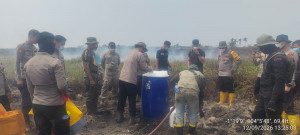 Polda Jambi Cek dan Tangani Karhutla di Sungai Aur, Luas Lahan Terbakar Capai 20 Hektare