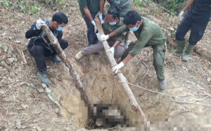 Anak Gajah Ditemukan Mati Di Desa Muaro Sekalo Akhir Agustus Lalu
