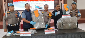 30 Kg Ganja Asal Medan Diamankan Polres Muarojambi