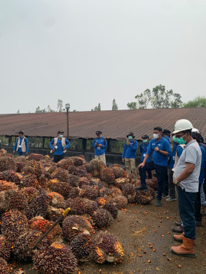Tingkatkan Kompetensi 211 Petani Sawit, PTPN IV Regional IV Fasilitasi Pelatihan Bersama IPB Trainin